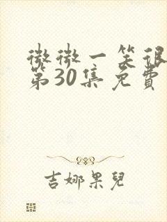 微微一笑很倾城第30集免费