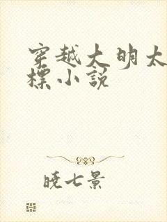 穿越大明太子朱标小说