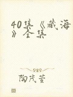 40集《藏海传》全集封面