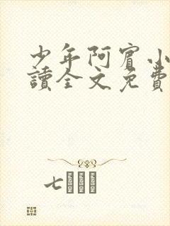 少年阿宾小说阅读全文免费无删减