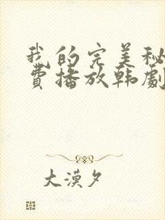 我的完美秘书免费播放韩剧封面