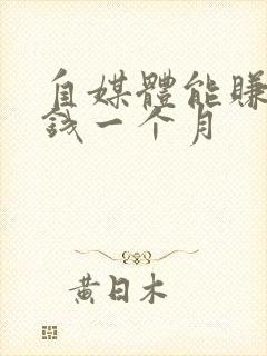 自媒体能赚多少钱一个月