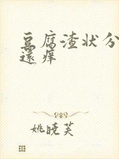 豆腐渣状分泌物还痒