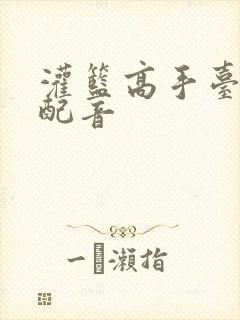 灌篮高手台湾版配音封面