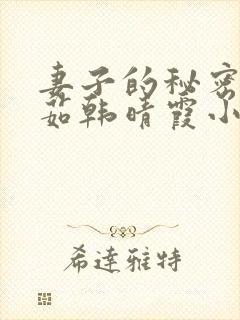 妻子的秘密林雅茹韩晴霞小说封面