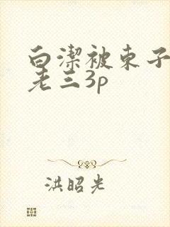 白洁被东子老二老三3p