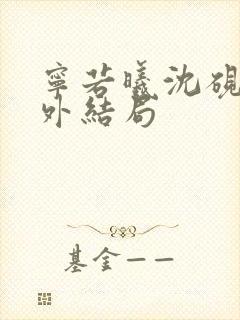 宁若曦沈砚舟番外结局