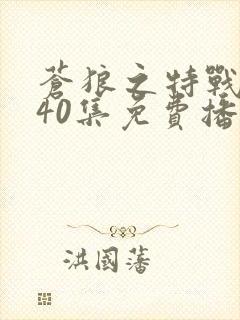 苍狼之特战突击40集免费播放封面