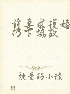 前妻求复婚,我扔下协议