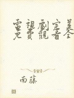 电视剧完美的他免费观看全集