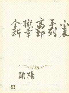 全职高手小说最新章节列表最