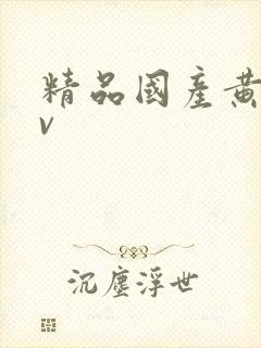 精品国产黄色av