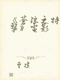 《苍狼之特战突击》电影