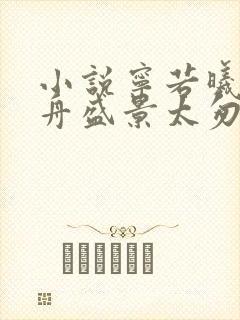 小说宁若曦沈砚舟盛景太匆匆在线阅读