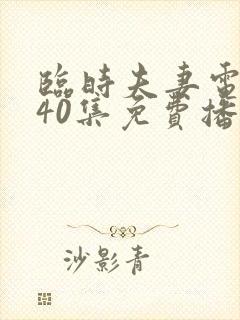 临时夫妻电视剧40集免费播放