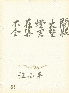 不在灯火阑珊处全集完整版封面