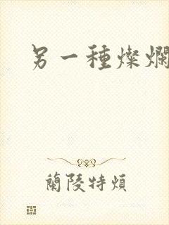 另一种灿烂生活