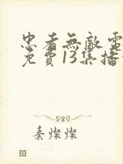 忠者无敌电视剧免费13集播放下载封面