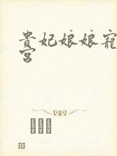 贵妃娘娘宠冠后宫