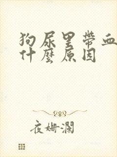 狗尿里带血块是什么原因