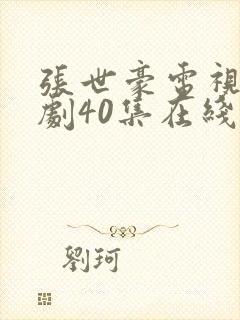 张世豪电视连续剧40集在线观看