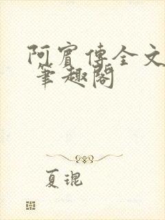 阿宾传全文阅读 笔趣阁