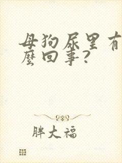 母狗尿里有血怎么回事?