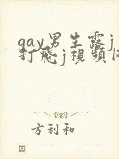 gay男生露j打飞j视频网站