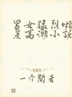 男女猛烈啪啪做爰高潮小说