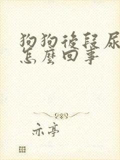 狗狗后段尿带血怎么回事封面