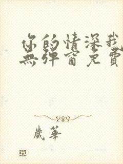 你的情深我不配无弹窗免费阅读