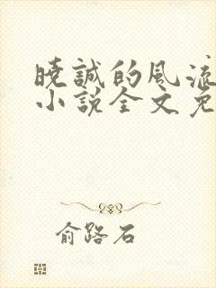 晓诚的风流人生小说全文免费阅读最