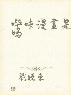 哔咔漫画是p站吗