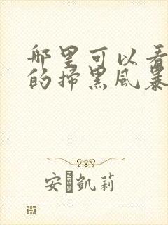 哪里可以看免费的扫黑风暴全集