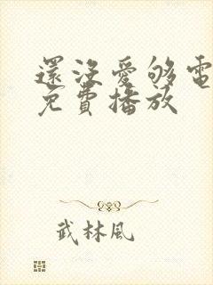 还没爱够电视剧免费播放