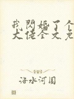 我闪婚了个财阀大佬全文免费阅读