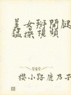 美女掰开腿被人猛操视频