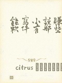 能写小说赚钱的软件有哪些