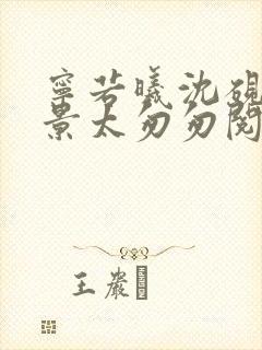 宁若曦沈砚舟盛景太匆匆阅读全文