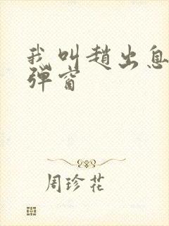 我叫赵出息 无弹窗