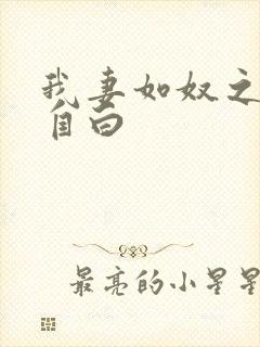 我妻如奴之琳的自白