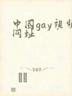 中国gay视频网址