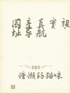 国产真实视频网址导航