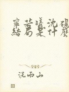 宁若曦沈砚舟大结局是什么