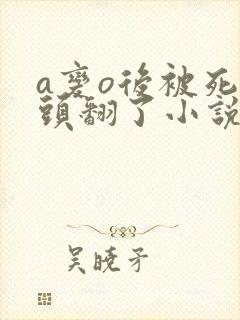 a变o后被死对头翻了小说