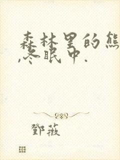 森林里的熊先生,冬眠中.