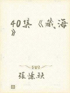 40集《藏海传》