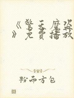 《惊天魔盗团三》免费播放