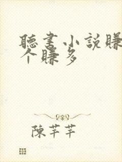 听书小说赚钱哪个赚多