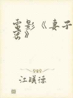 电影《妻子的秘密》